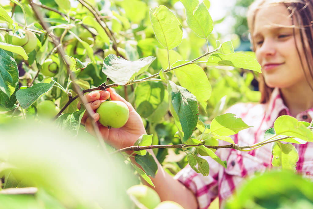 INWESTYCJA AGRO - Kredyt inwestycyjny