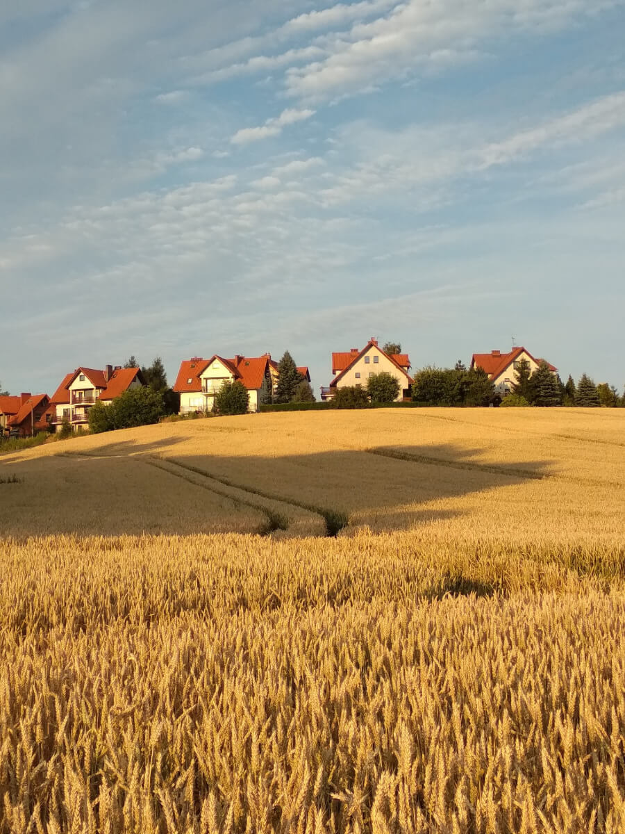 Obrotowy na zakup rzeczowych środków do produkcji rolnej